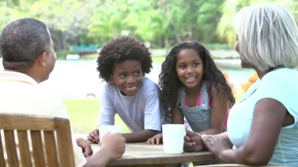 Grandparents Relaxing With Grandchildren — Stock Video