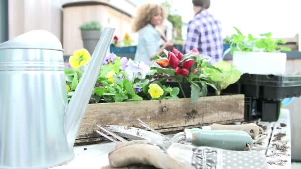 Ragazze sul tetto con i fiori di fronte a loro — Video Stock