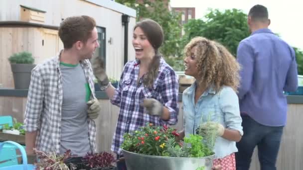 Empresa no telhado com flores em tigela de metal — Vídeo de Stock