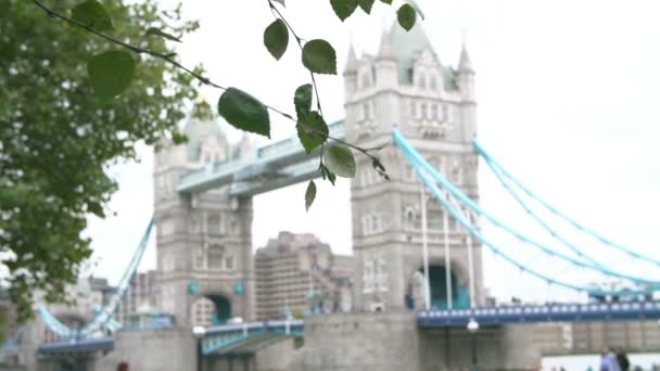 Tower Bridge met toeristen — Stockvideo