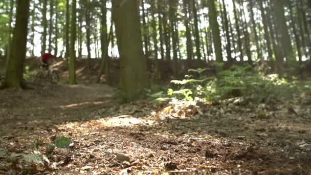 Homme à vélo de montagne à travers les bois — Video