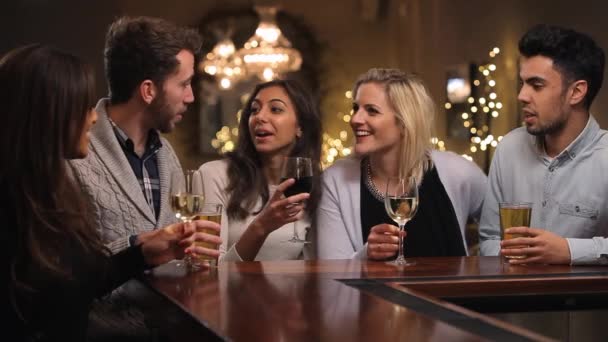 Група друзів насолоджуються вечірніми напоями — стокове відео
