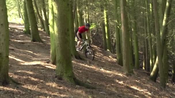 Homme à vélo de montagne à travers les bois — Video