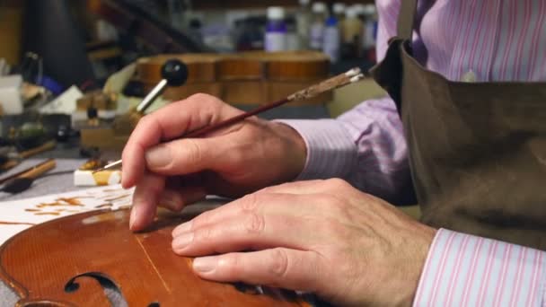 Mann restauriert Geige in Werkstatt — Stockvideo