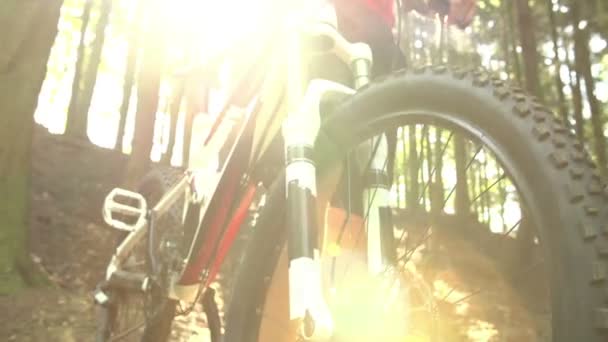 Mann mit Mountainbike im Wald — Stockvideo