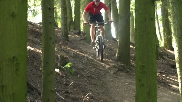 Hombre montando bicicleta de montaña a través de bosques — Vídeo de stock