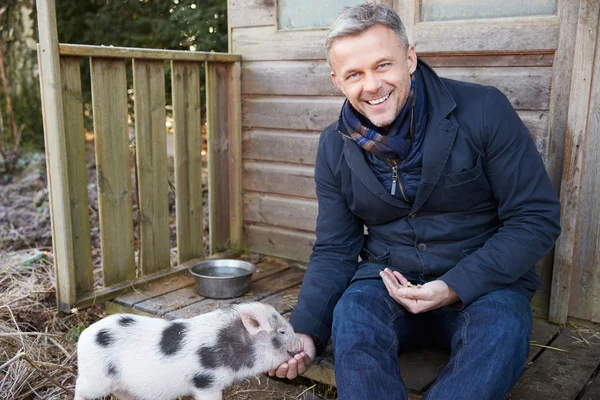 Mature Man Feeding Pet Micro Pig