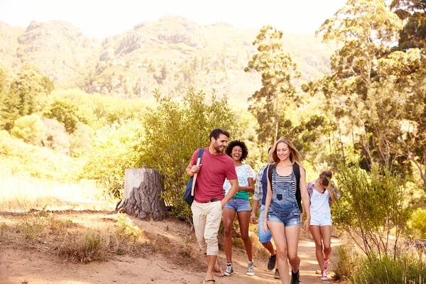 Amigos en camino por el campo juntos —  Fotos de Stock