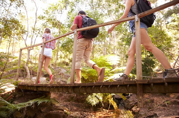 Amis traversant le pont en bois dans la forêt — Photo