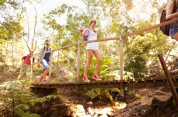 Amigos cruzando el puente de madera en el bosque —  Fotos de Stock