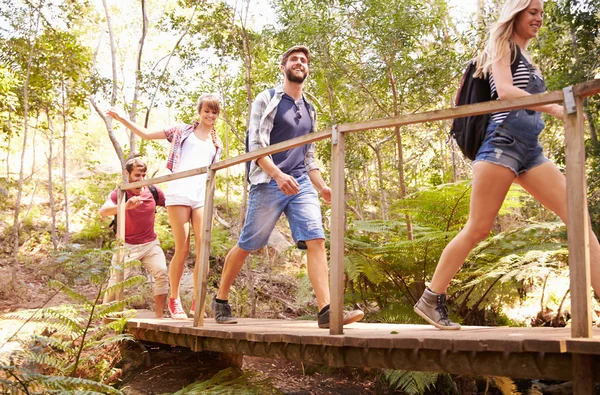 Amigos cruzando el puente de madera en el bosque — Foto de Stock