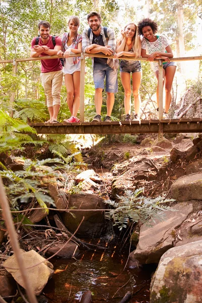 Friends Crossing Wooden Bridge In Forest — Stok Foto