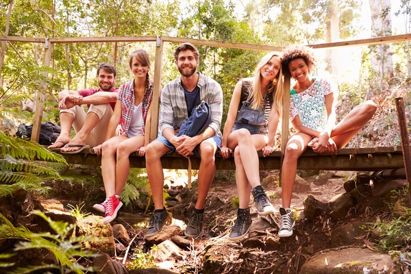 Amigos sentados en un puente de madera en el bosque —  Fotos de Stock