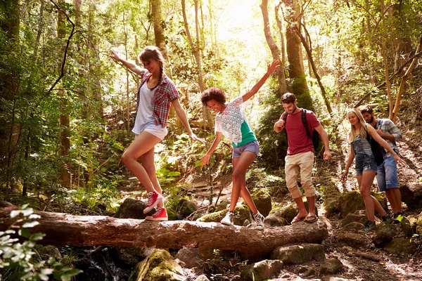 Vrienden op lopen balanceren op boomstam — Stockfoto