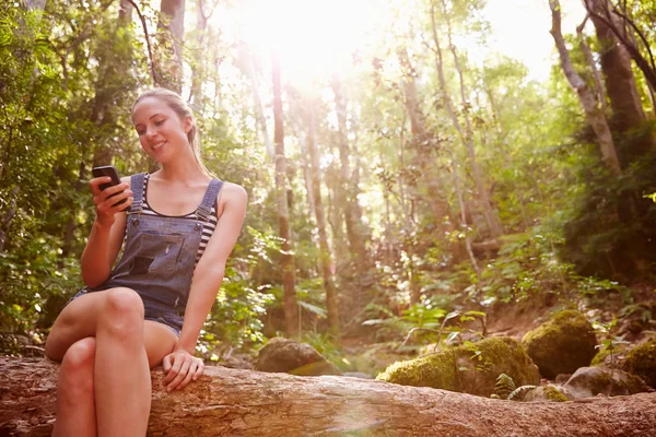 Donna che utilizza il telefono cellulare nella foresta — Foto Stock