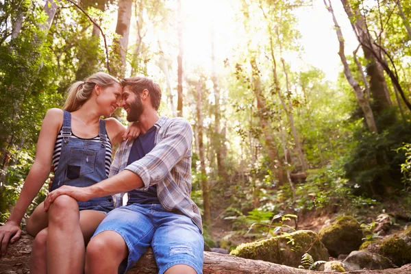 Pareja sentada en tronco de árbol en el bosque —  Fotos de Stock