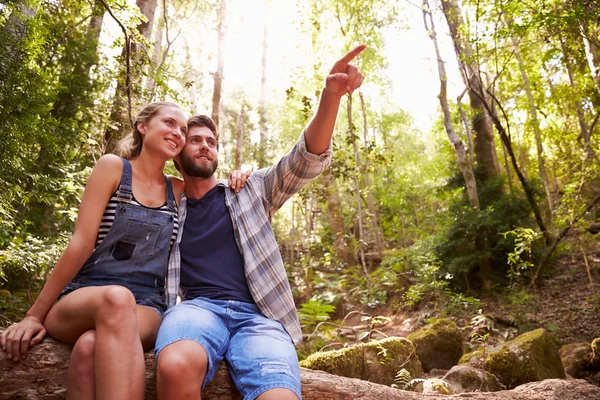 Pareja sentada en tronco de árbol en el bosque — Foto de Stock