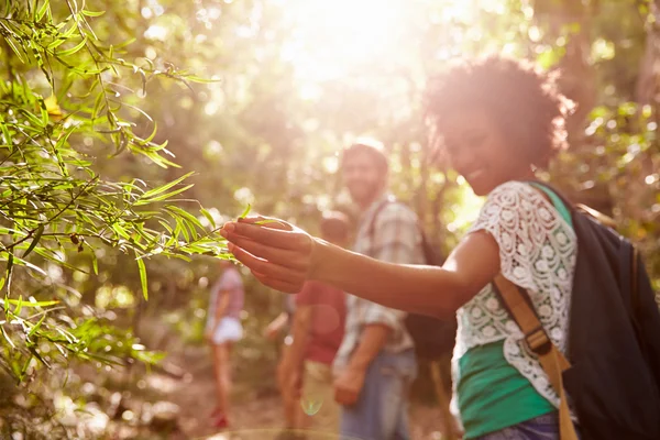 Onderzoeken vrouw verlaat op Plant tijdens platteland wandeling — Stockfoto