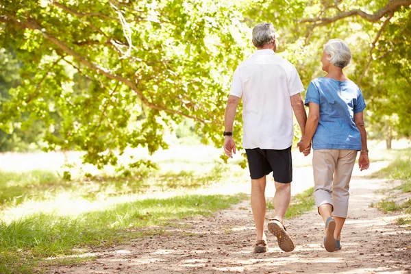 Casal sênior caminhando juntos no campo — Fotografia de Stock