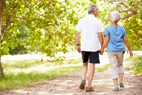 Pareja mayor caminando juntos en el campo — Foto de Stock