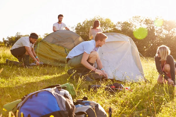 Amigos lançando tendas em férias de acampamento — Fotografia de Stock