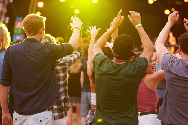 Publikum på en musikkfestival – stockfoto