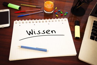 Wissen metin kavramı