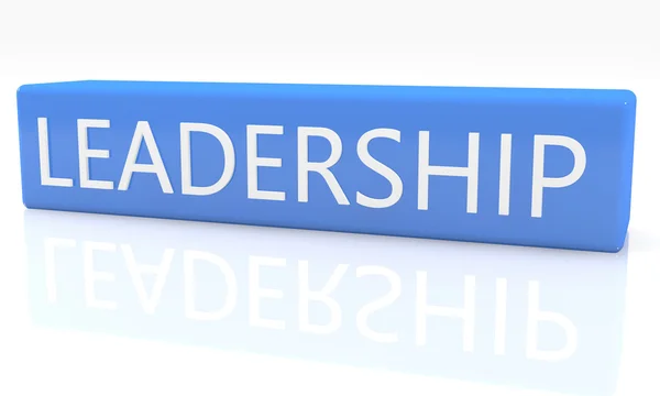 Leadership — Stock Photo, Image