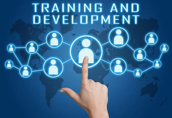 Training and Development — Stock Photo, Image