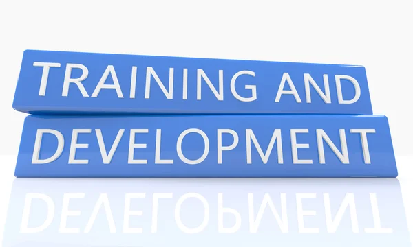 Training and Development — Stock Photo, Image