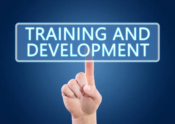 Training and Development — Stock Photo, Image