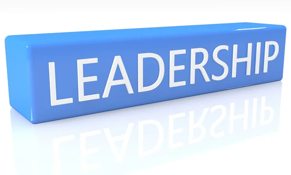 Leadership — Stock Photo, Image