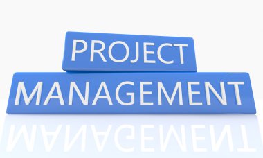 Proje Yönetimi