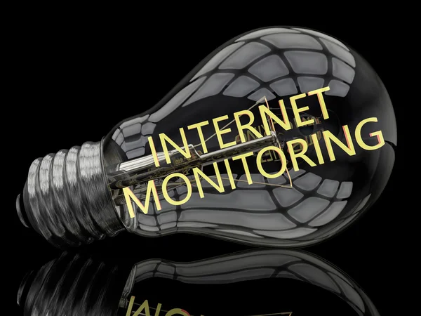 Internet Monitoring — Stock Photo, Image