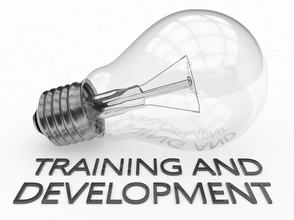 Training and Development — Stock Photo, Image