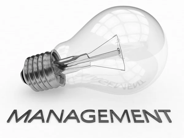 Management — Stock Photo, Image