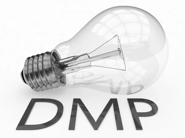 DMP - Plate-forme de gestion des données ou plan de gestion de la dette - ampoule sur fond blanc avec du texte dessous. Illustration de rendu 3D . — Photo