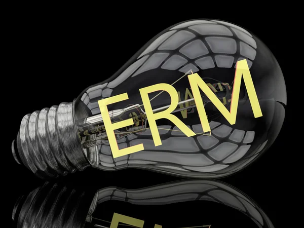 ERM - Enterprise Risk or Resource Management - bola lampu dengan latar belakang hitam dengan teks di dalamnya. Ilustrasi render 3d . — Stok Foto