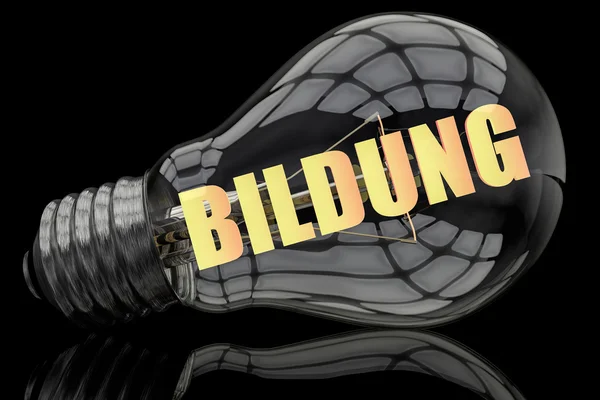 Bildung - german word for education - lightbulb on black background with text in it. 3d render illustration. — Stock fotografie