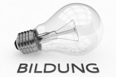 Bildung - german word for education - lightbulb on white background with text under it. 3d render illustration.