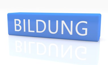 Bildung - german word for education - 3d render blue box with text on it on white background with reflection