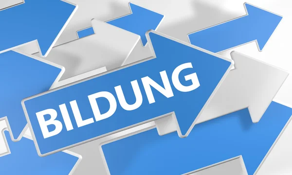 Bildung - palavra alemã para educação - 3d render conceito com setas azuis e brancas voando sobre um fundo branco . — Fotografia de Stock