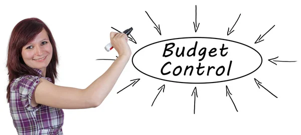 Control Presupuestario - joven empresaria dibujando concepto de información en pizarra . —  Fotos de Stock