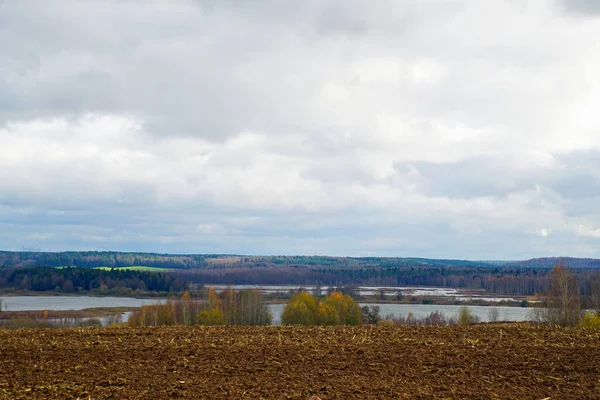 Jesienny Krajobraz Początek Listopada Piękny Widok Łąki Gaje Horyzont Otwarte — Zdjęcie stockowe