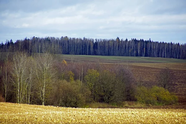 Jesienny Krajobraz Początek Listopada Piękny Widok Łąki Gaje Horyzont Otwarte — Zdjęcie stockowe