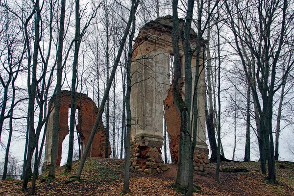 Zřícenina Starobylého Paláce Starém Parku Stavba Zničená Časem Podzim Oblačno — Stock fotografie