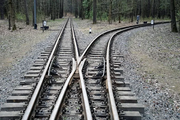 Železnice Lese Perspektiva Cesty Rozcházejí Turn — Stock fotografie