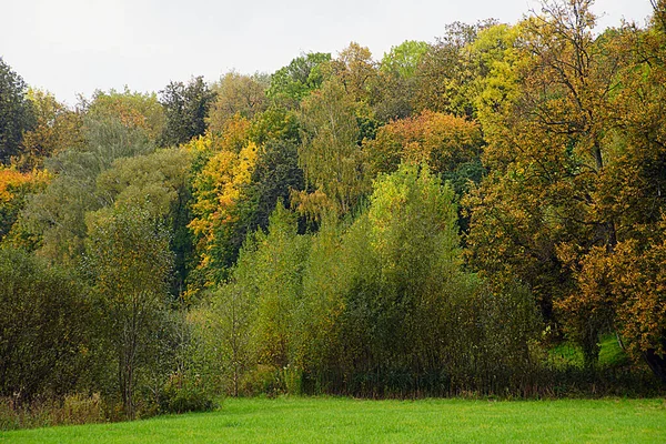 Cichy Spokojny Jesienny Wieczór Nad Jeziorem Złota Jesień Refleksja Nad — Zdjęcie stockowe