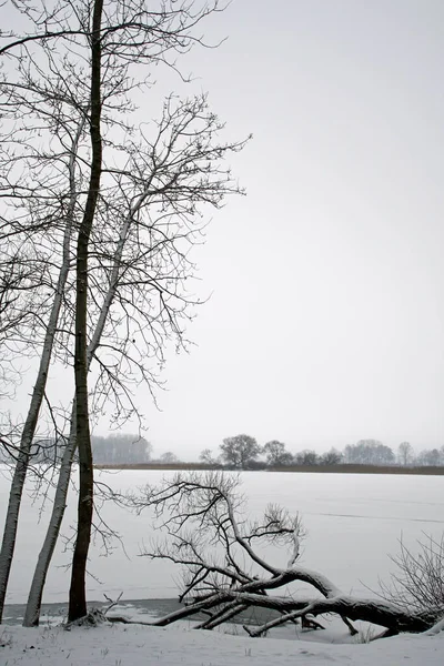 Panorama Isole Lago Ghiacciato Orizzonte Nebbioso Neve Alberi — Foto Stock