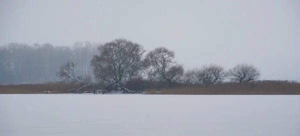 冰封湖上的岛屿全景 多雾的地平线和白雪 — 图库照片